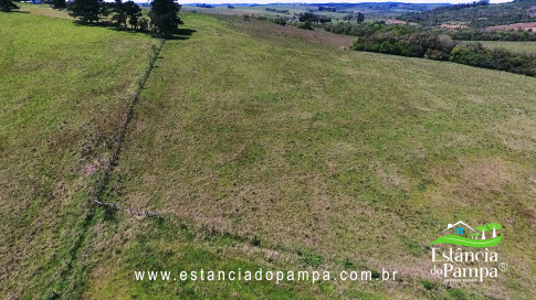 VAI ATE MANGUEIRA OVELHAS.00_02_41_13.Quadro031_684988d21abc2405f6ee964605fdfb83ca734646.jpg